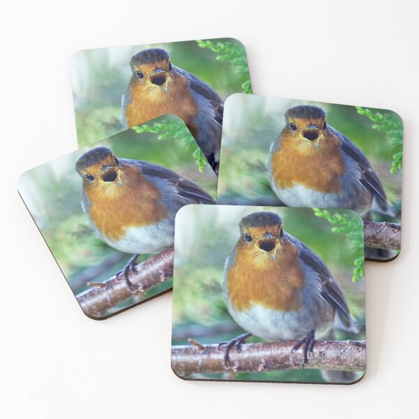 Item preview, Robin Redbreast designed and sold by Tom McPherson Photography.