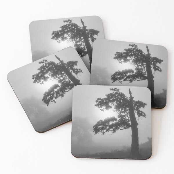 Item preview, Ragged Sunrise BW designed and sold by Jim Love.