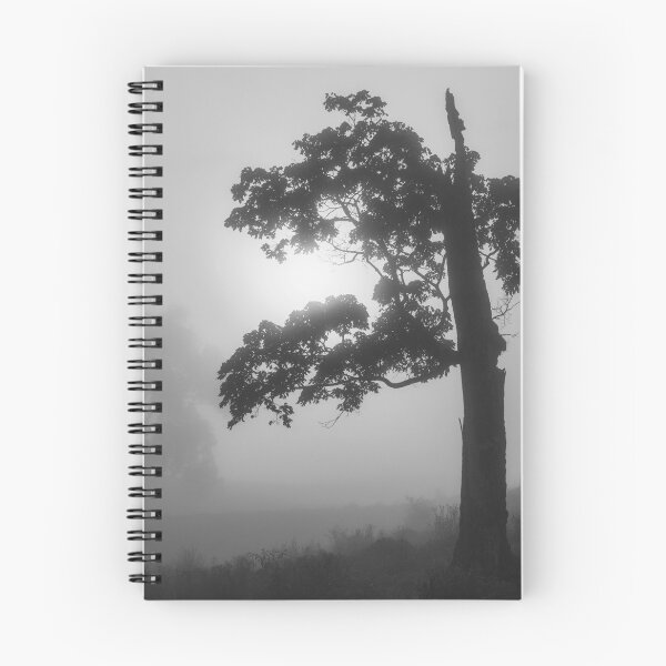 Item preview, Ragged Sunrise BW designed and sold by Jim Love.