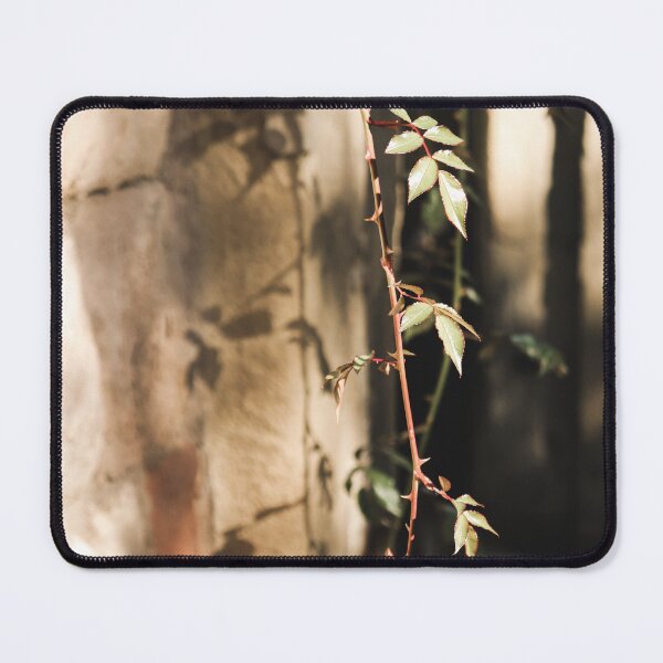 Item preview, A Plant and its Shadow on a Stone Wall designed and sold by thisreverie.