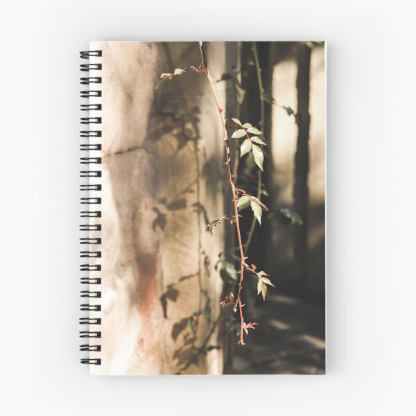 Item preview, A Plant and its Shadow on a Stone Wall designed and sold by thisreverie.