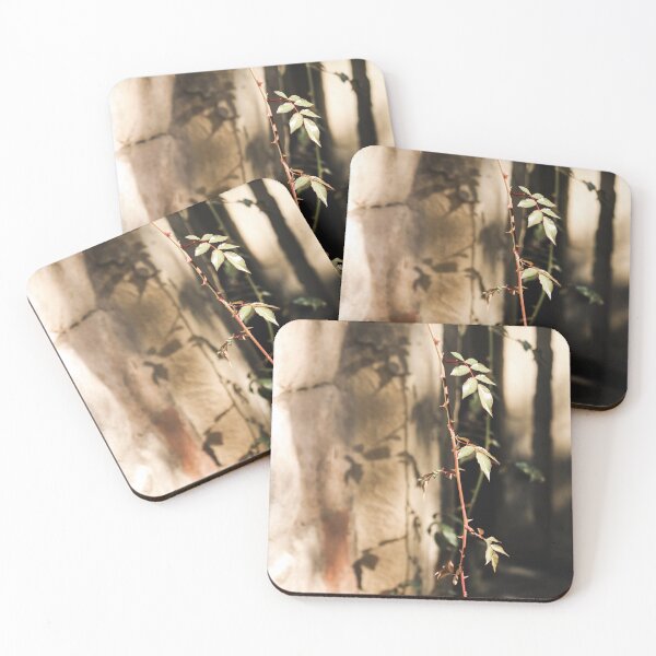 Item preview, A Plant and its Shadow on a Stone Wall designed and sold by thisreverie.