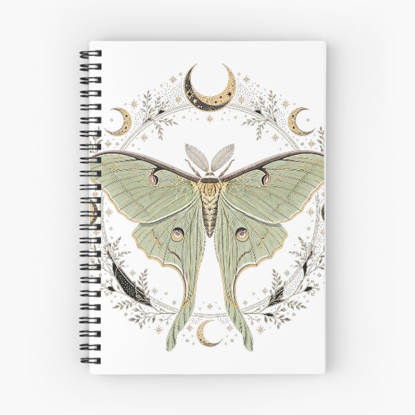 Item preview, Luna Moth Vintage Dark Academia Entomology Sticker designed and sold by dostielee.