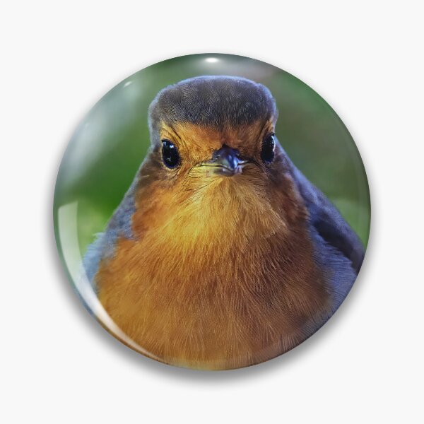Item preview, Robin Redbreast designed and sold by Tom McPherson Photography.