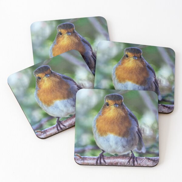 Item preview, Robin Redbreast designed and sold by Tom McPherson Photography.