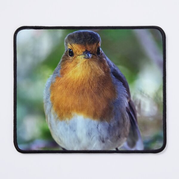 Item preview, Robin Redbreast designed and sold by Tom McPherson Photography.