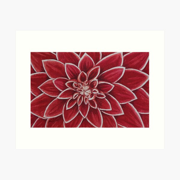 Item preview, Red and White Dahlia Watercolor Painting designed and sold by RedFinchDesigns.