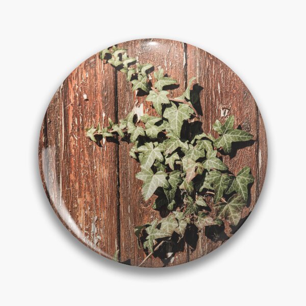 Item preview, Ivy Growing on a Wooden Fence in Scotland designed and sold by thisreverie.