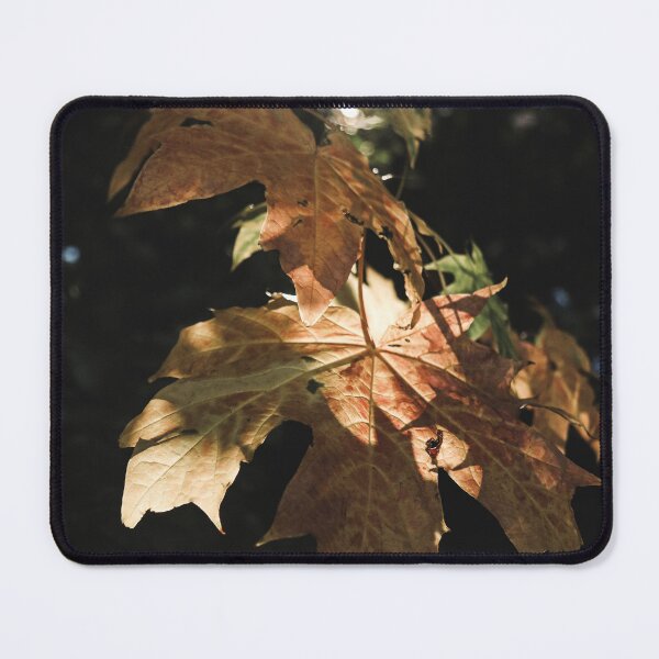 Item preview, Autumn Leaves designed and sold by thisreverie.