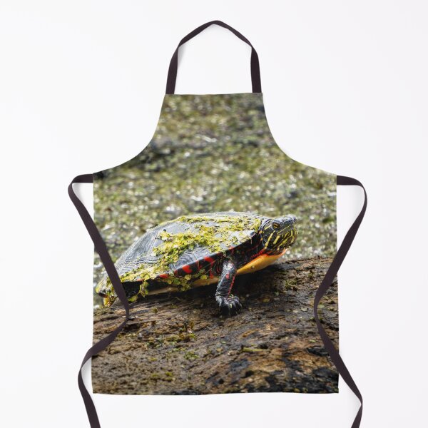 Item preview, Grumpy Turtle designed and sold by TinyDinoDesigns.