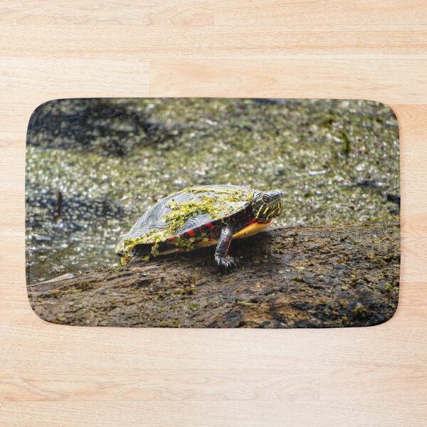 Item preview, Grumpy Turtle designed and sold by TinyDinoDesigns.