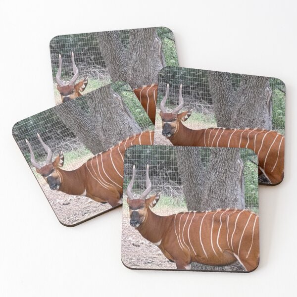 Item preview, Wildlife safari  designed and sold by Dammit-Dan74.
