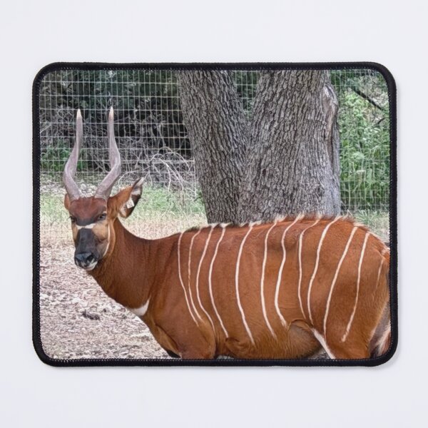 Item preview, Wildlife safari designed and sold by Dammit-Dan74.