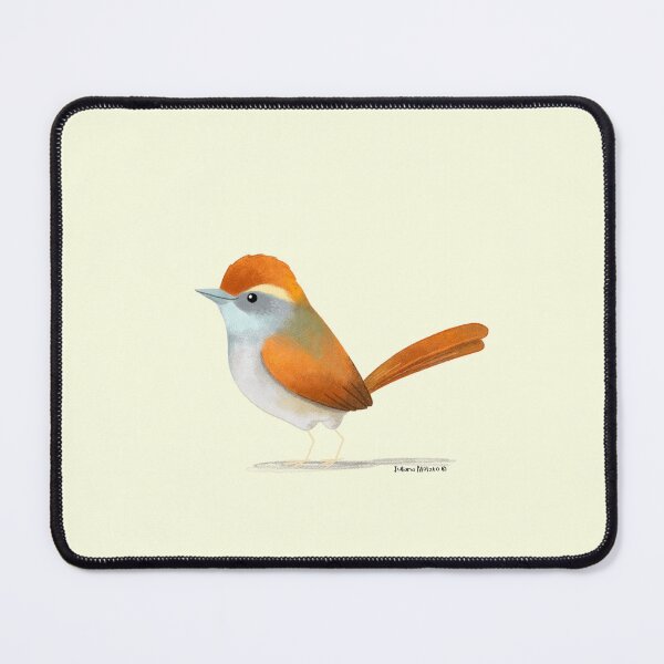 Item preview, Pintos Spinetail Bird designed and sold by julianamotzko.
