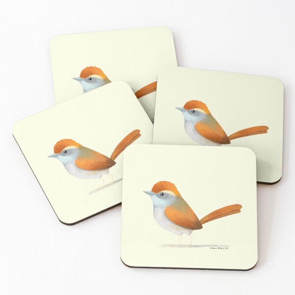 Item preview, Pintos Spinetail Bird designed and sold by julianamotzko.
