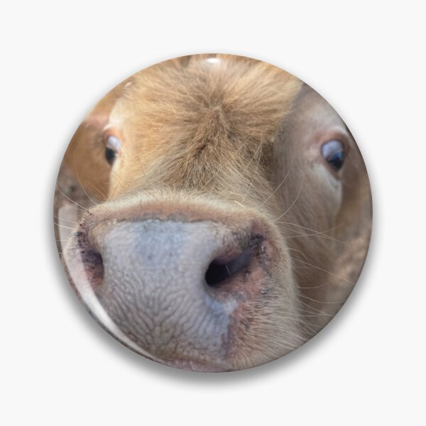 Item preview, Highland Cow designed and sold by Dammit-Dan74.
