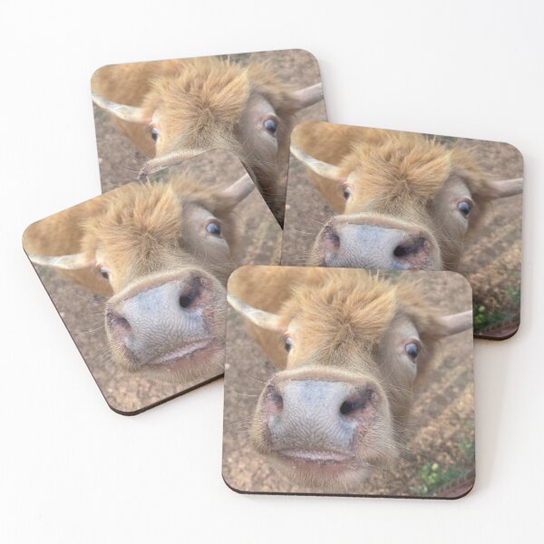 Item preview, Highland Cow designed and sold by Dammit-Dan74.