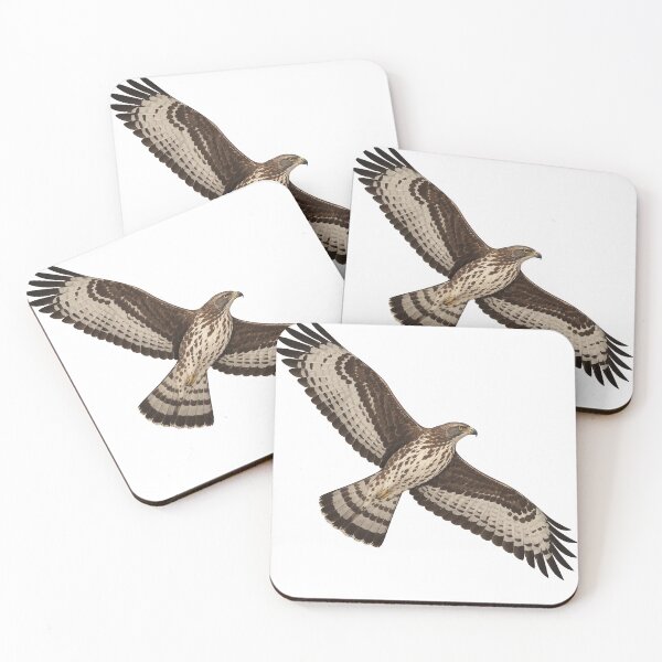 Item preview, Honey Buzzard designed and sold by jamesgerardking.