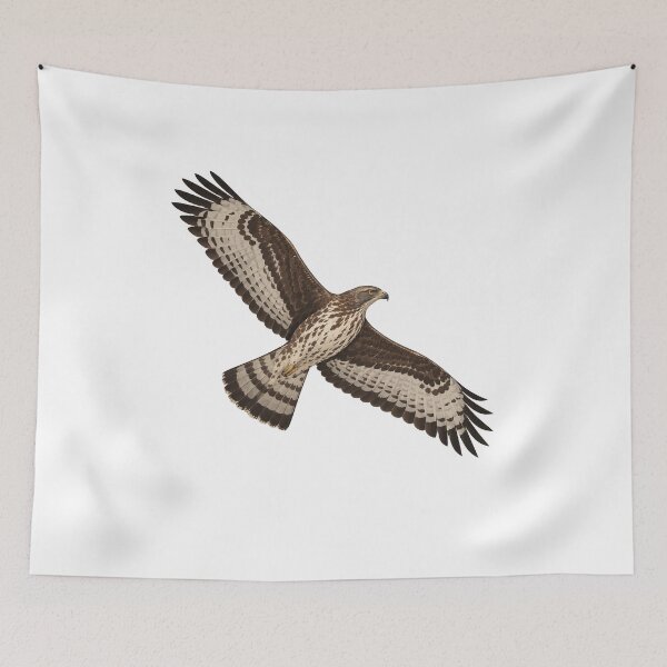 Item preview, Honey Buzzard designed and sold by jamesgerardking.