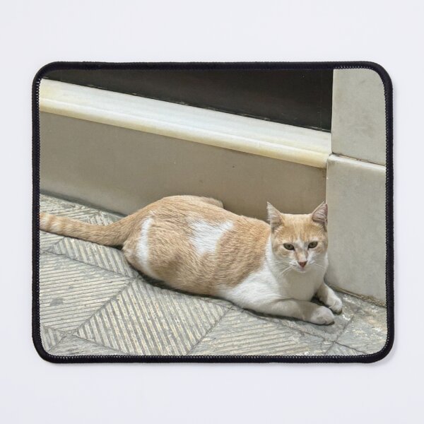 Item preview, Greek Cat designed and sold by GeekyGirlsGarb.