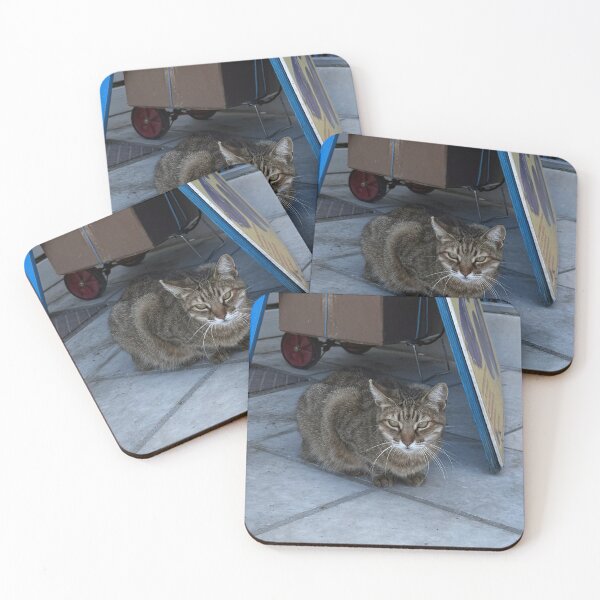 Item preview, Cat under sign designed and sold by GeekyGirlsGarb.