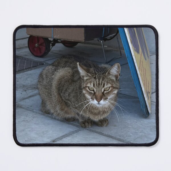 Item preview, Cat under sign designed and sold by GeekyGirlsGarb.