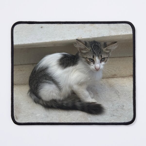 Item preview, Kitten designed and sold by GeekyGirlsGarb.