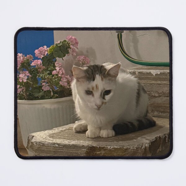 Item preview, Cat on porch designed and sold by GeekyGirlsGarb.
