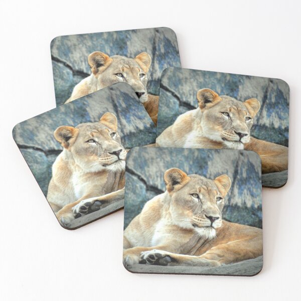 Item preview, Resting Lioness on Rock designed and sold by Savannah Gibbs.