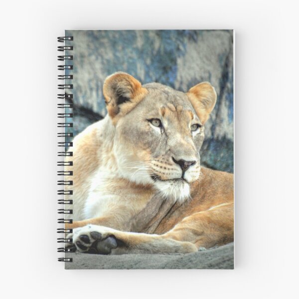 Item preview, Resting Lioness on Rock designed and sold by Savannah Gibbs.
