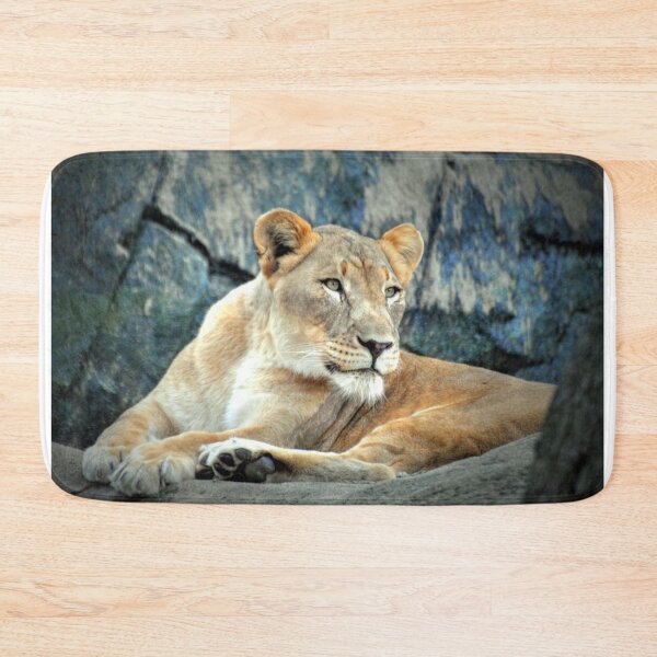 Item preview, Resting Lioness on Rock designed and sold by Savannah Gibbs.