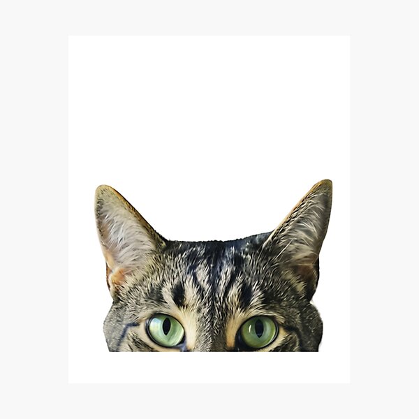 Item preview, Tabby Cat Otter designed and sold by pulse_retail.