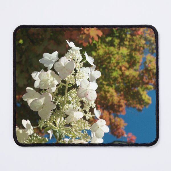 Item preview, white flowers vertically in autumn designed and sold by Digital2dreams.