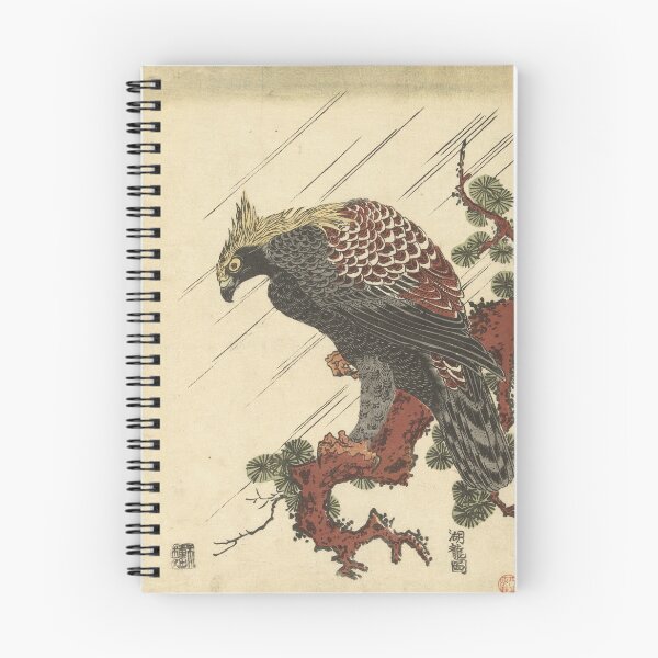 Item preview, Eagle on a Pine Branch in the Rain by Isoda Koryusai, circa 1770-1780 designed and sold by Exhumed Archives.