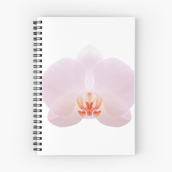 Item preview, Orchid Flower Baby Pink designed and sold by Stev1enorman.