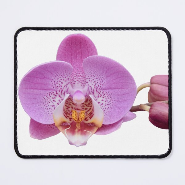 Item preview, Purple Orchid Flower designed and sold by Stev1enorman.