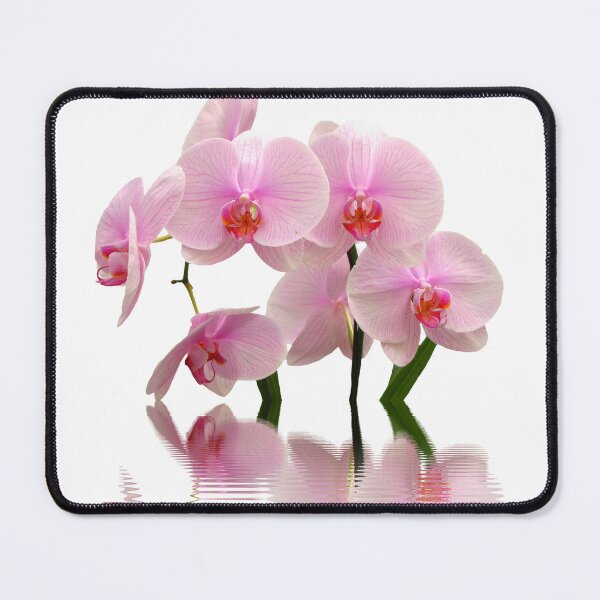 Item preview, Bunch of Orchids designed and sold by Stev1enorman.