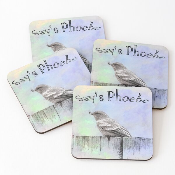 Item preview, Say's Phoebe With Bug designed and sold by CarolM.