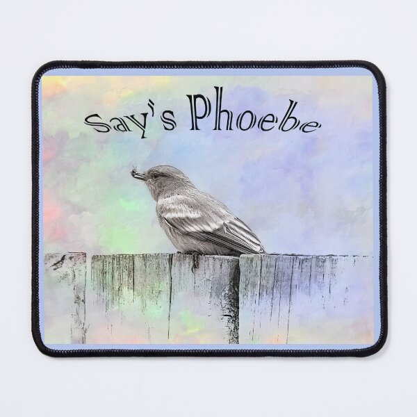 Item preview, Say's Phoebe With Bug designed and sold by CarolM.