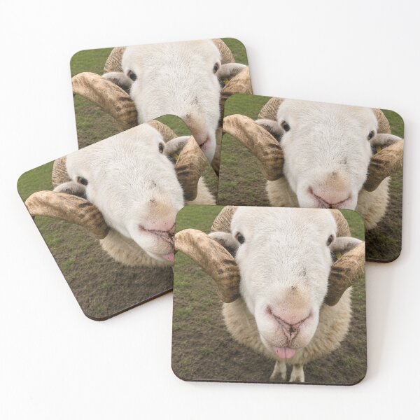 Item preview, Ewe Looking At Me? designed and sold by Astute-Artio-Photography.