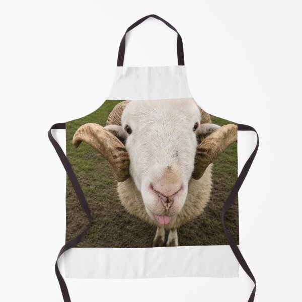 Item preview, Ewe Looking At Me? designed and sold by Astute-Artio-Photography.