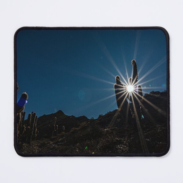 Item preview, Cardoon cactus against the light of the sun and blue star designed and sold by Keltoi-art.