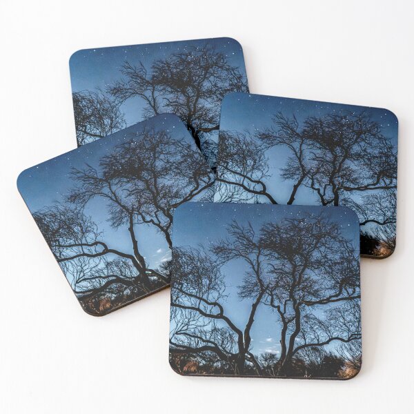 Item preview, Algarrobos trees starry night Puna Catamarca designed and sold by Keltoi-art.