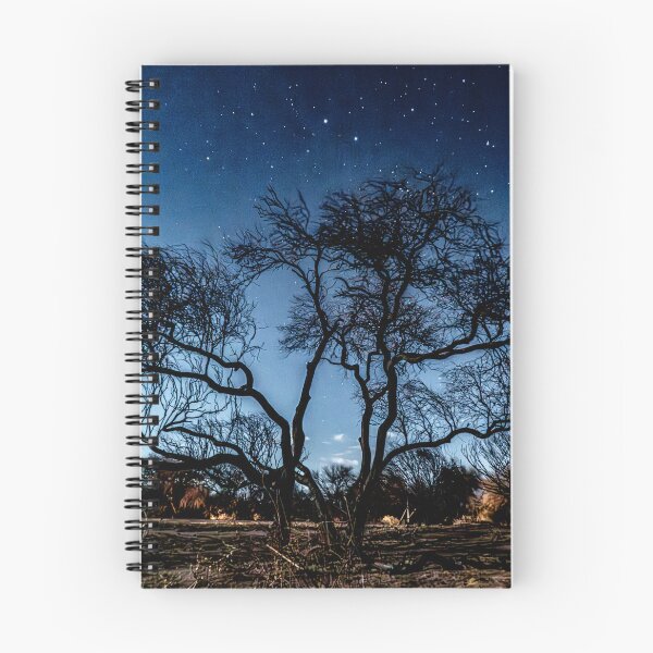 Item preview, Algarrobos trees starry night Puna Catamarca designed and sold by Keltoi-art.