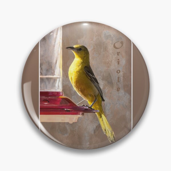 Item preview, Oriole at Hummingbird Feeder designed and sold by CarolM.
