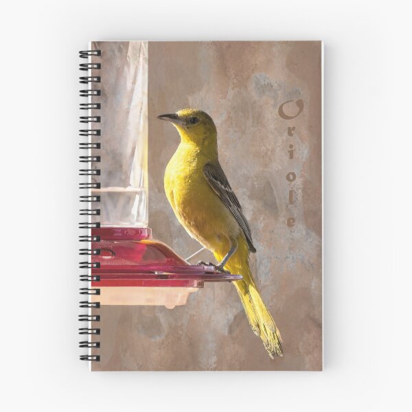 Item preview, Oriole at Hummingbird Feeder designed and sold by CarolM.