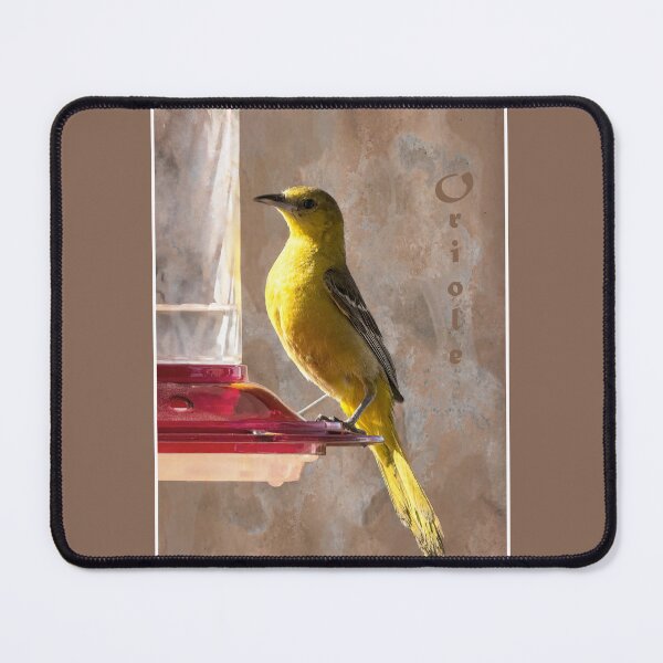 Item preview, Oriole at Hummingbird Feeder designed and sold by CarolM.