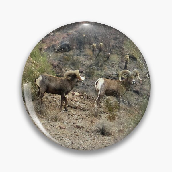 Item preview, Big Horn Sheep  designed and sold by CarolM.