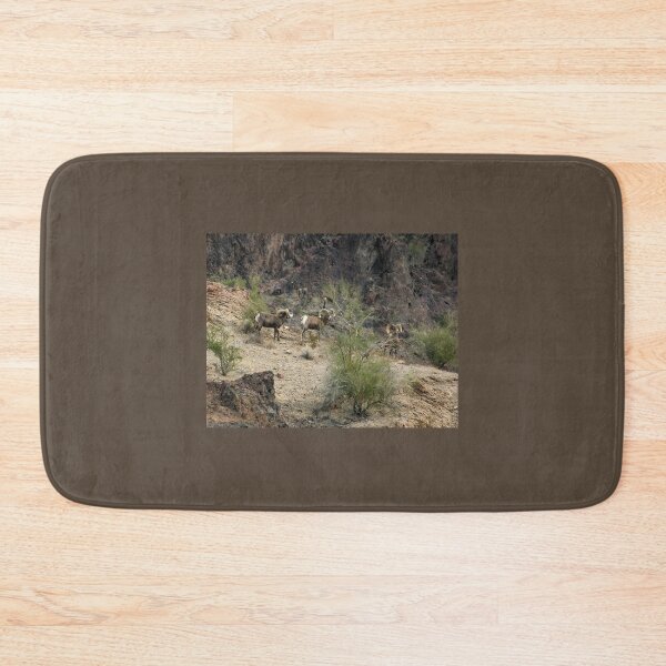 Item preview, Big Horn Sheep  designed and sold by CarolM.