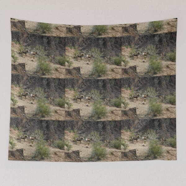 Item preview, Big Horn Sheep  designed and sold by CarolM.